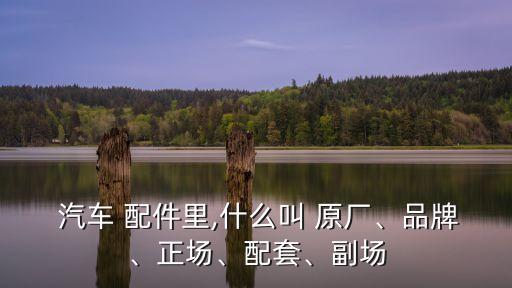  汽车 配件里,什么叫 原厂、品牌、正场、配套、副场