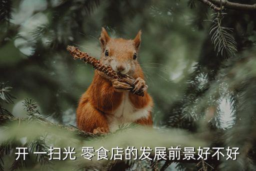 开 一扫光 零食店的发展前景好不好