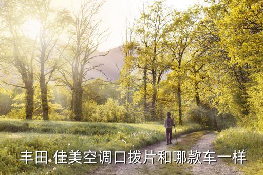  丰田 佳美空调口拨片和哪款车一样