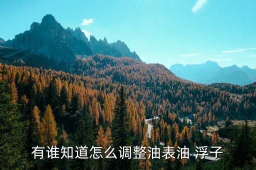 有谁知道怎么调整油表油 浮子