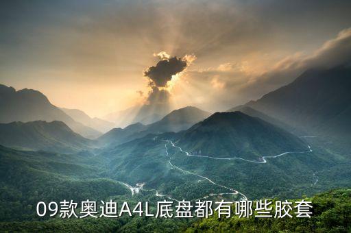 09款奥迪A4L底盘都有哪些胶套