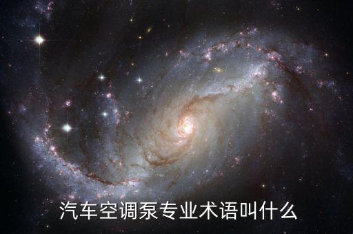  汽车空调泵专业术语叫什么