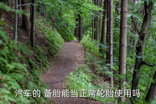 汽车的 备胎能当正常轮胎使用吗