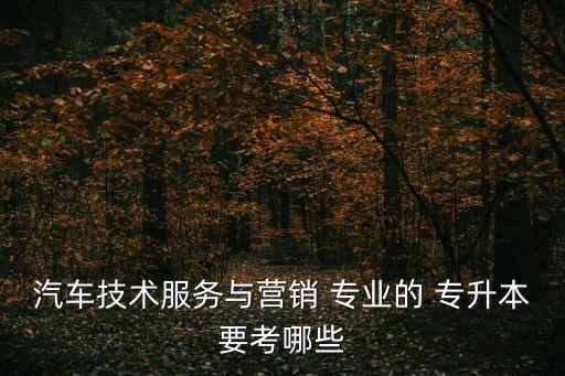 汽车技术服务与营销 专业的 专升本要考哪些