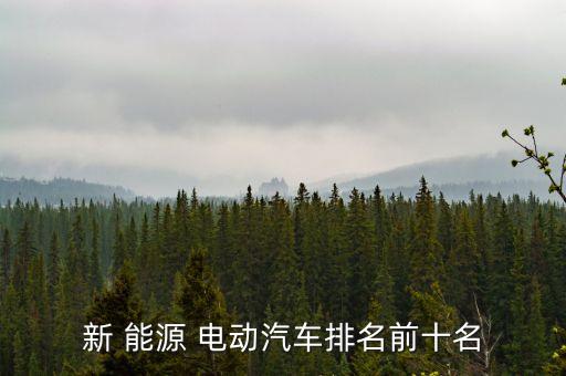 新 能源 电动汽车排名前十名