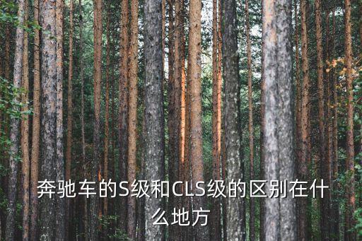  奔驰车的S级和CLS级的区别在什么地方