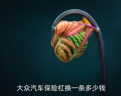  大众汽车保险杠换一条多少钱