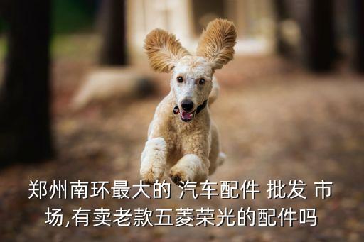 郑州南环最大的 汽车配件 批发 市场,有卖老款五菱荣光的配件吗