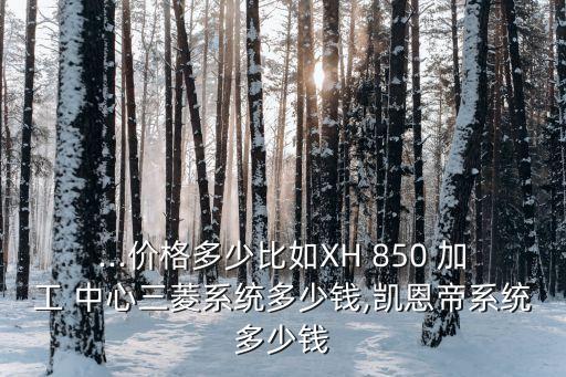 ...价格多少比如XH 850 加工 中心三菱系统多少钱,凯恩帝系统多少钱