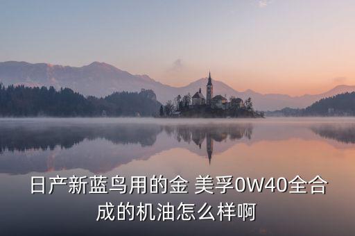 日产新蓝鸟用的金 美孚0W40全合成的机油怎么样啊