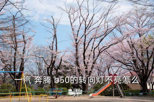 一汽 奔腾 b50的转向灯不亮怎么弄