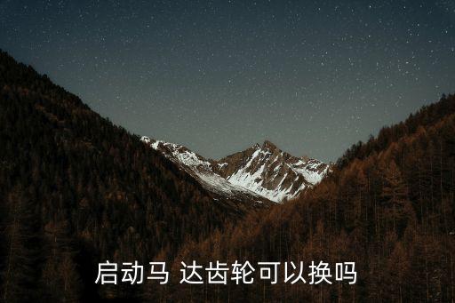 启动马 达齿轮可以换吗