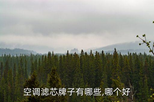 汽车滤清器品牌排行榜,中国十大滤清器品牌排行榜