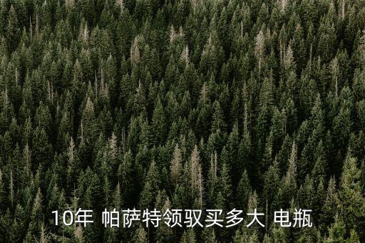 10年 帕萨特领驭买多大 电瓶