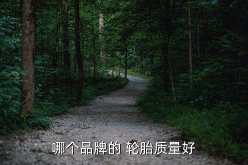 哪个品牌的 轮胎质量好