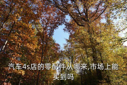 汽车4s店的零配件从哪来,市场上能买到吗