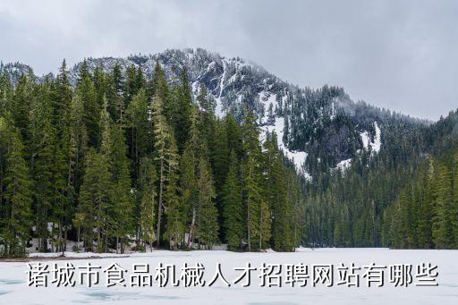  诸城市食品机械人才招聘网站有哪些