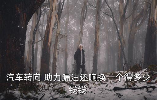 雅绅特助力泵多少钱,现代雅绅特助力油壶位置
