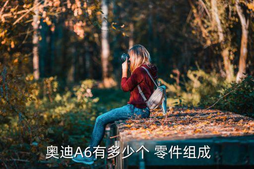 奥迪汽配零件怎么分
