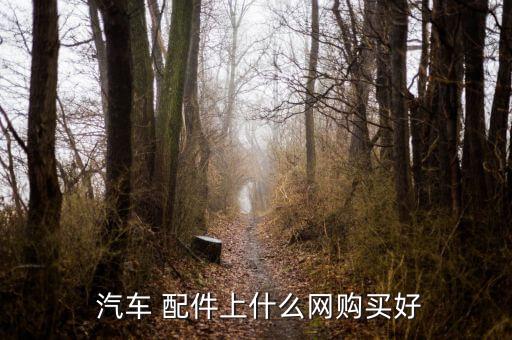 汽车配件在哪里买靠谱
