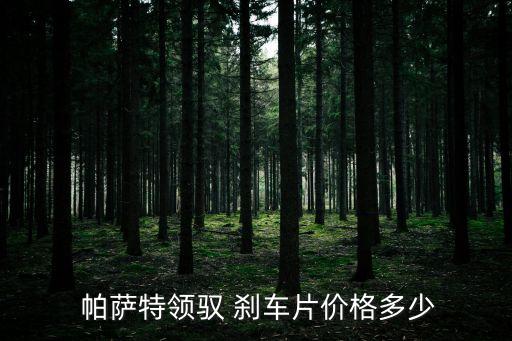  帕萨特领驭 刹车片价格多少