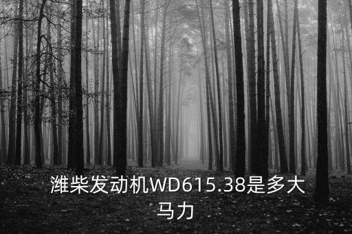  潍柴发动机WD615.38是多大马力