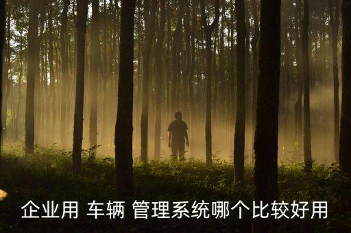 赢途通达车辆服务管理系统