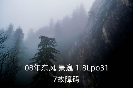 08年东风 景逸 1.8Lpo317故障码