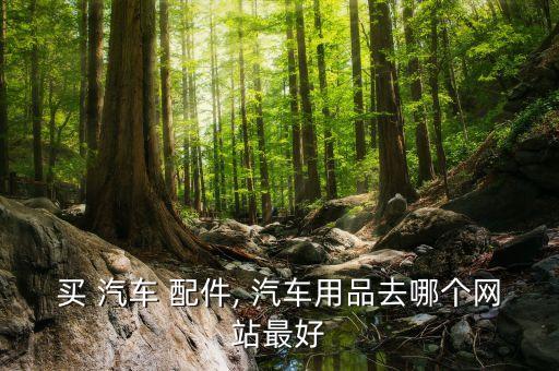 买 汽车 配件, 汽车用品去哪个网站最好