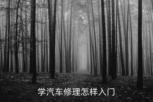 如何快速学会修车,快速处理后,如何修车