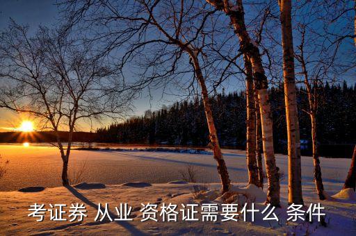 考证券 从业 资格证需要什么 条件