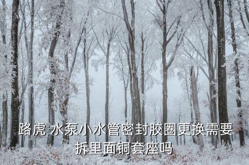  路虎 水泵小水管密封胶圈更换需要拆里面铜套座吗