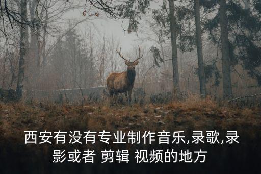  西安有没有专业制作音乐,录歌,录影或者 剪辑 视频的地方