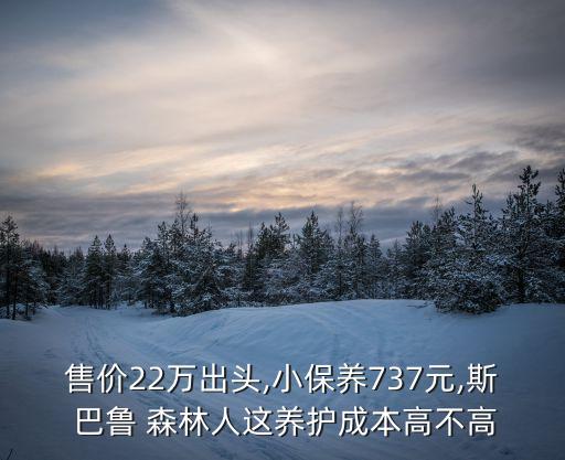 售价22万出头,小保养737元,斯 巴鲁 森林人这养护成本高不高