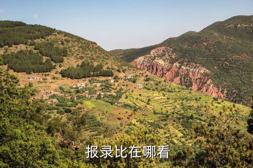  报录比在哪看