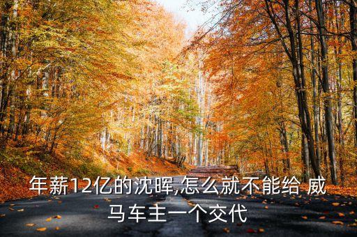 年薪12亿的沈晖,怎么就不能给 威马车主一个交代
