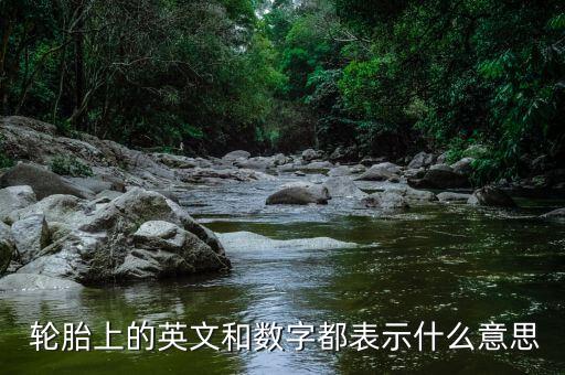 轮胎上的英文和数字都表示什么意思
