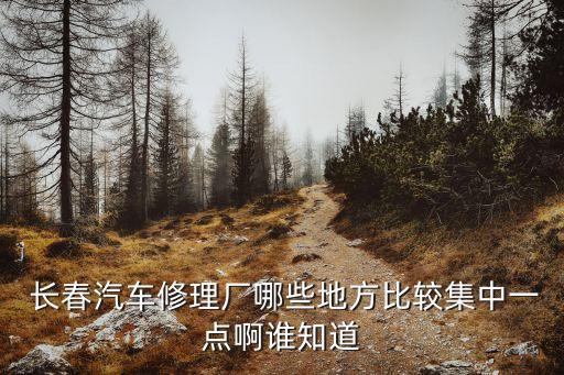  长春汽车修理厂哪些地方比较集中一点啊谁知道