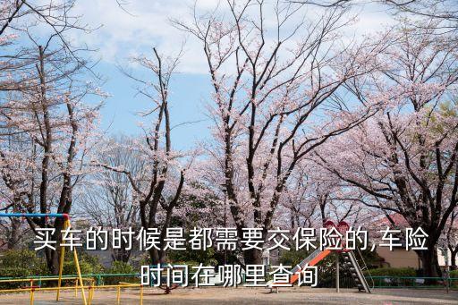  买车的时候是都需要交保险的,车险时间在哪里查询