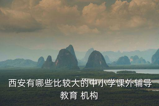  西安有哪些比较大的中小学课外辅导教育 机构