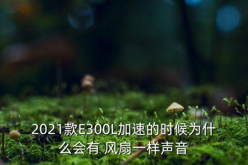 2021款E300L加速的时候为什么会有 风扇一样声音