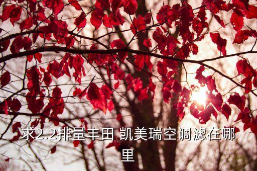 求2.2排量丰田 凯美瑞空调滤在哪里