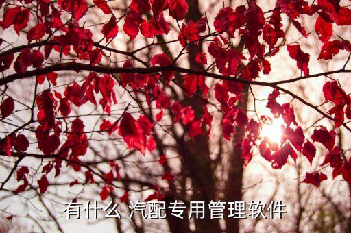 有什么 汽配专用管理软件