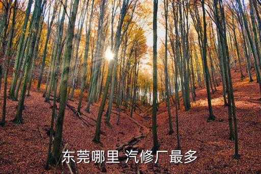 东莞哪里 汽修厂最多