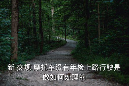 新 交规 摩托车没有年检上路行驶是做如何处理的