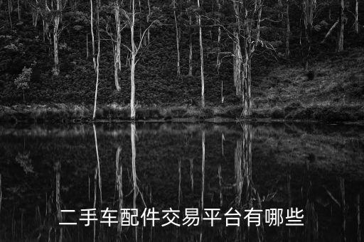 汽车零部件在哪个网站