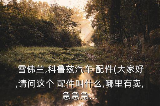  雪佛兰,科鲁兹汽车 配件(大家好,请问这个 配件叫什么,哪里有卖,急急急...