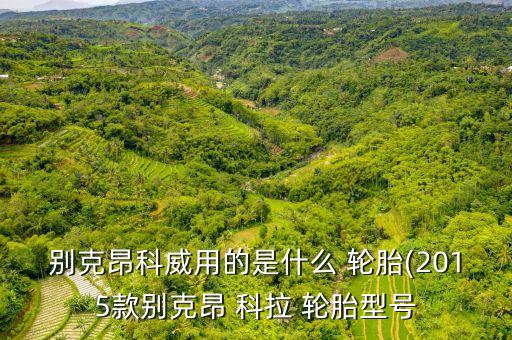 别克昂科威用的是什么 轮胎(2015款别克昂 科拉 轮胎型号