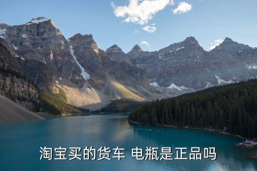 淘宝买的货车 电瓶是正品吗