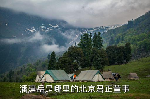 潘建岳是哪里的北京君正董事